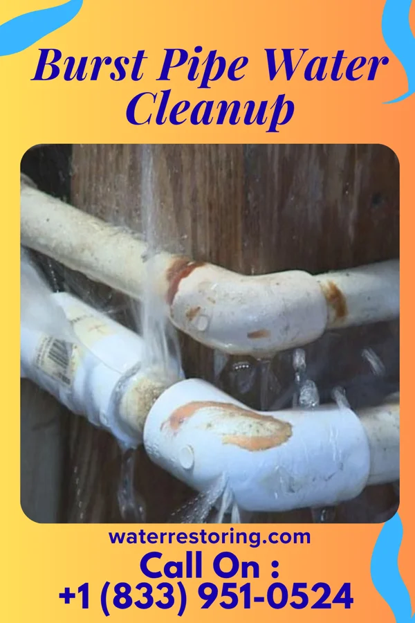 Burst Pipe Water Cleanup in Berne, IN