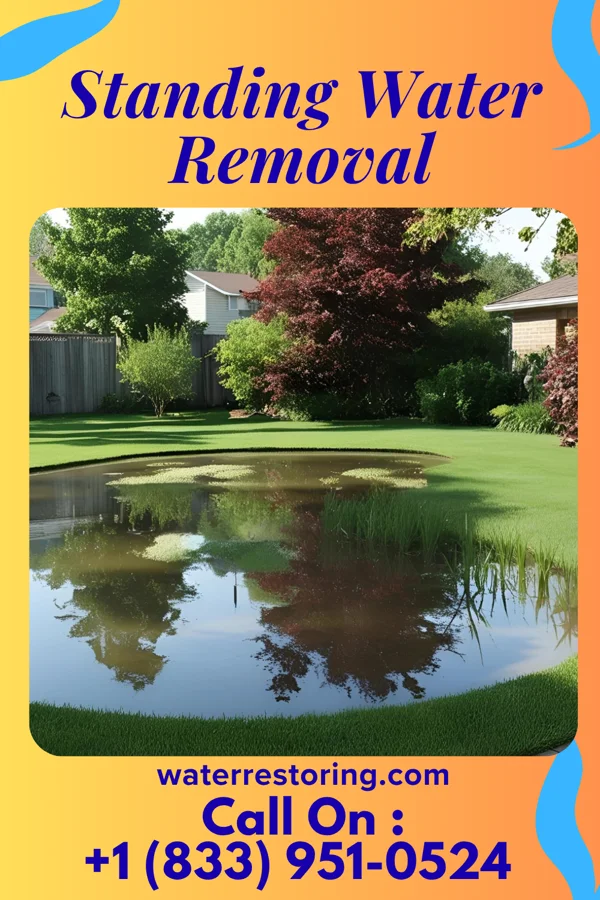 Standing Water Removal in Berne, IN